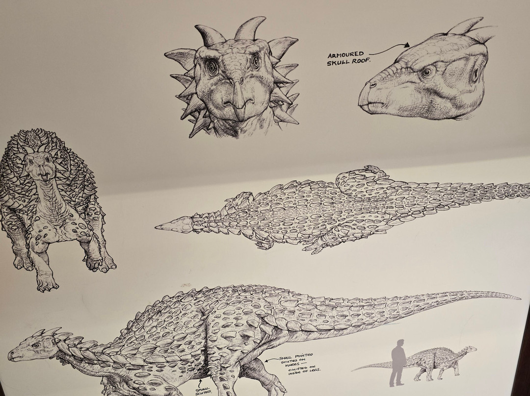 Lyme Regis Philpot Museum-莱姆里杰斯必去景点