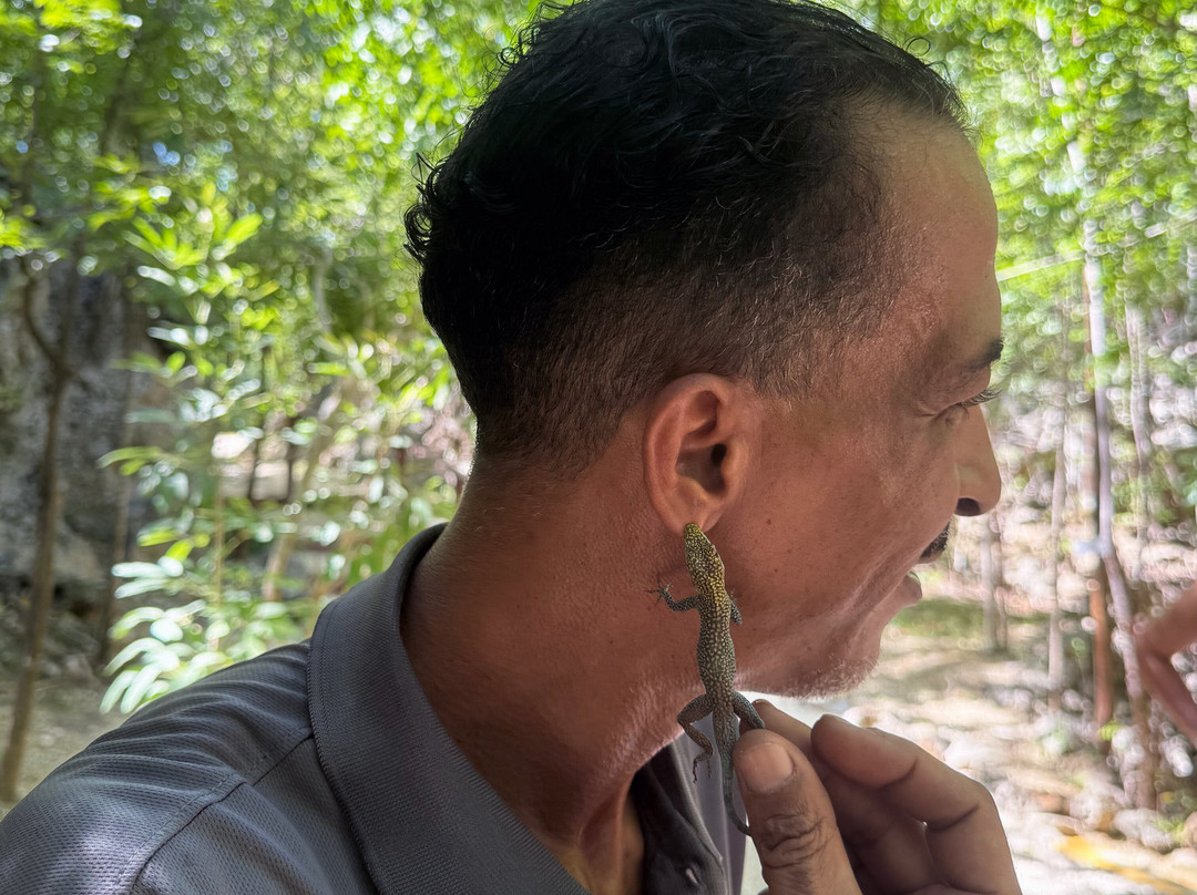 Cayman Crystal Caves-大开曼岛必去景点