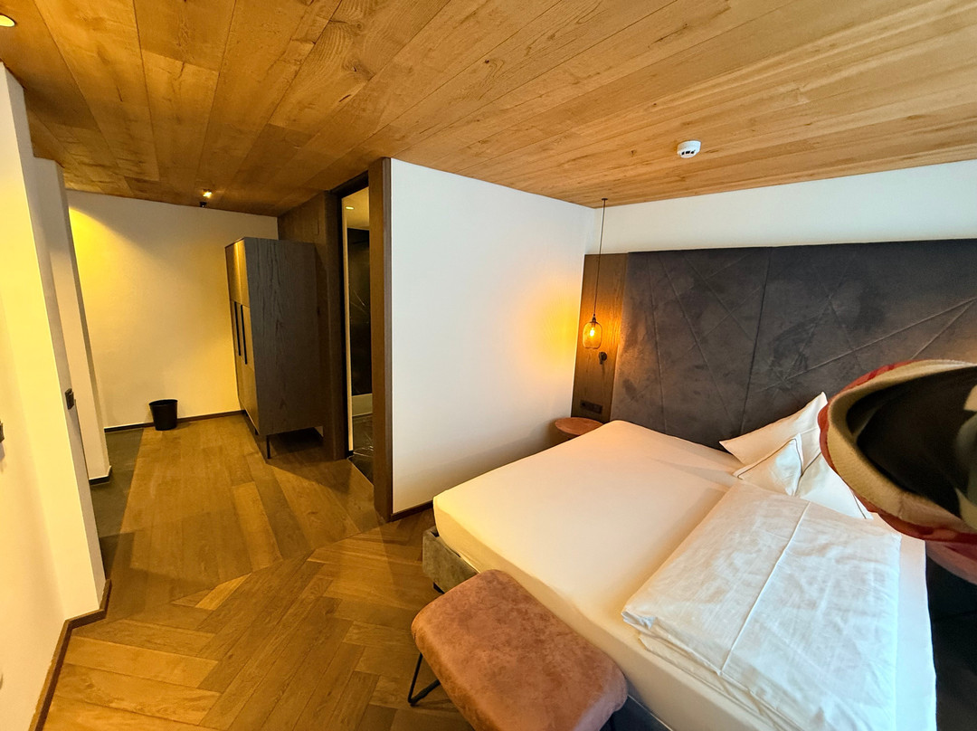 阿尔皮纳酒店主图