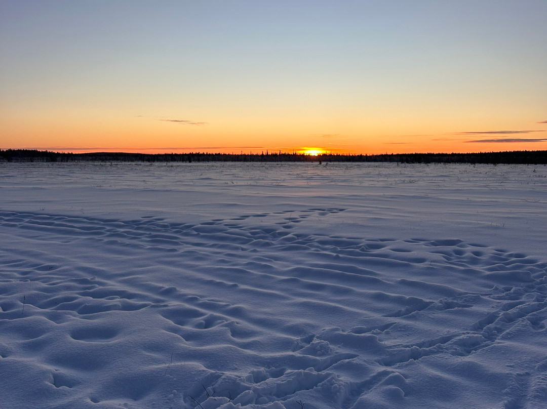 Tokka Snowmobile Safaris & Rentals-Sirkka必去景点