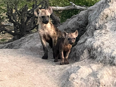 Touched By Nature-雾观必去景点