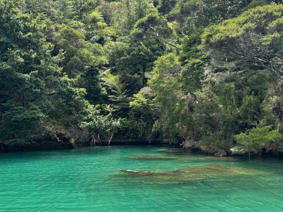 Abel Tasman Eco Tours-玛拉豪必去景点
