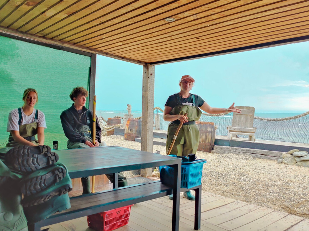 Dive Tatapouri-Gisborne Region必去景点