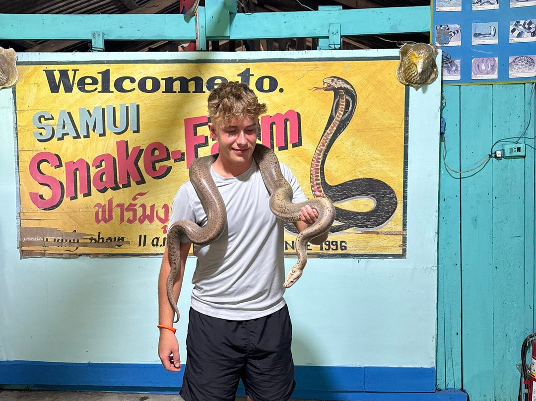 苏梅蛇场-苏梅岛必去景点