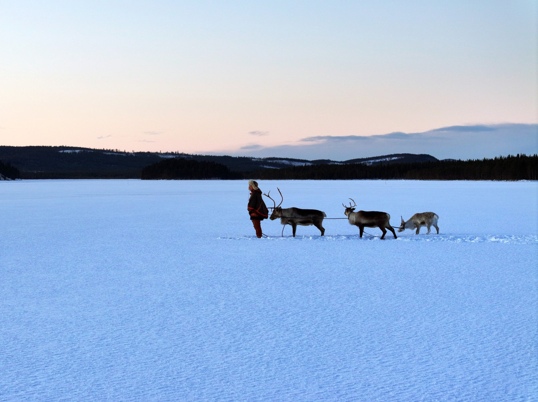 Samireindeer-Balinge必去景点