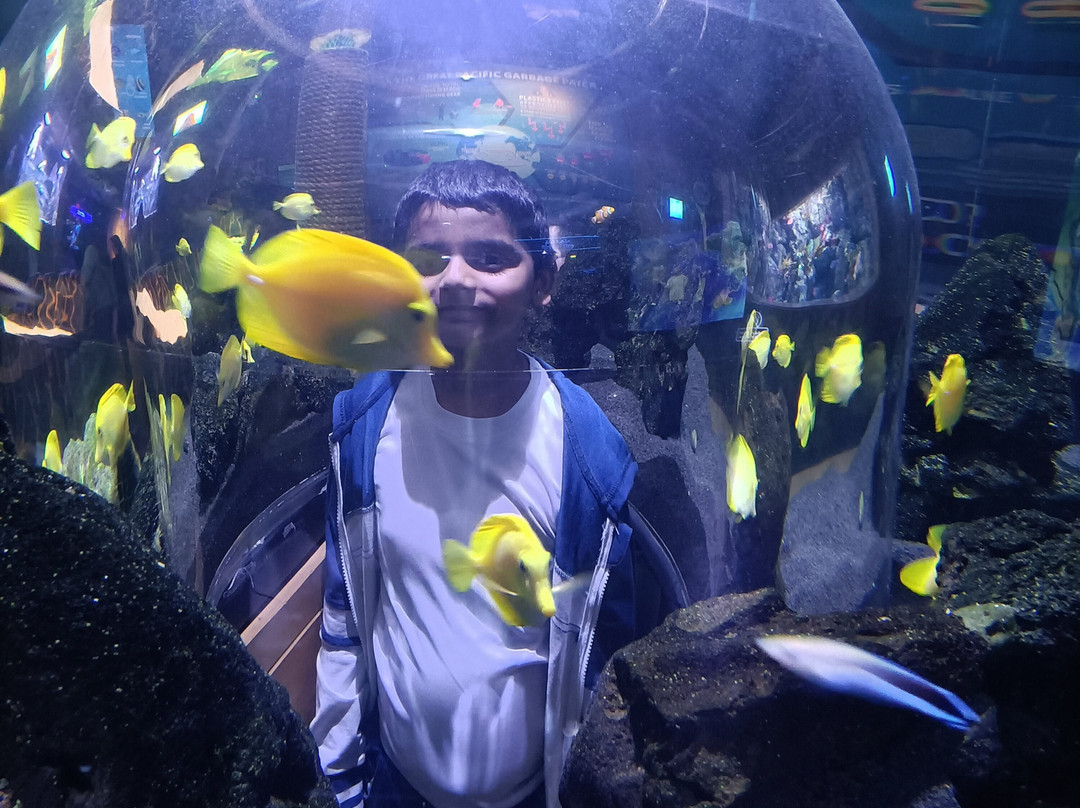 The National Aquarium Abu Dhabi-阿布扎比必去景点