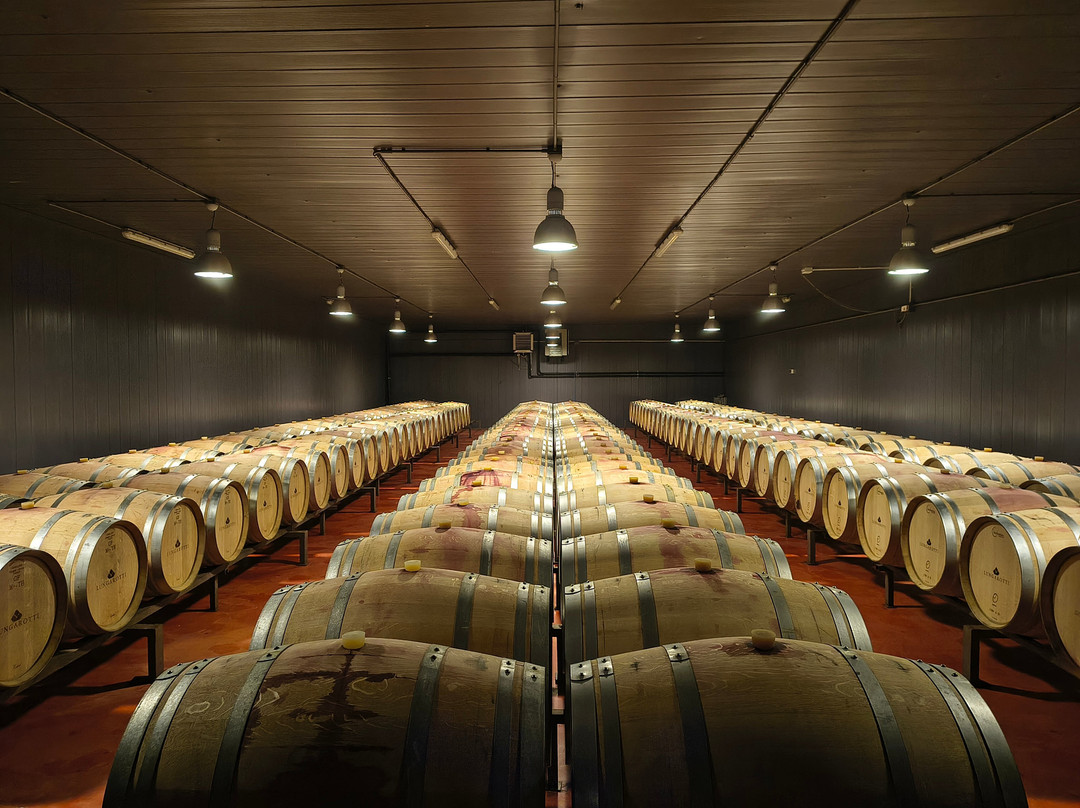 Cantina Lungarotti - Torgiano-Torgiano必去景点