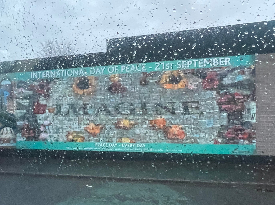 Paddy Campbell's Belfast Famous Black Cab Tours-贝尔法斯特必去景点