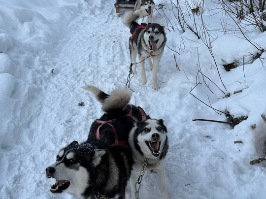 Pourvoirie du Lac Beauport-Lac-Beauport必去景点