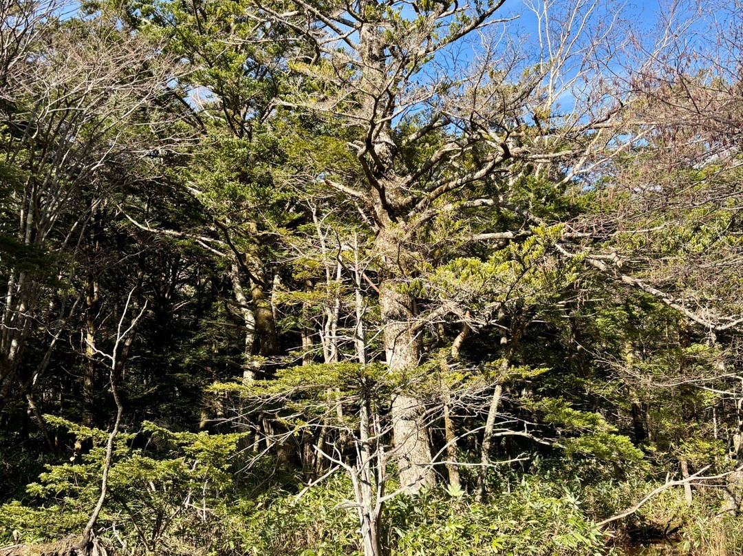 Pond Tashiro-松本市必去景点