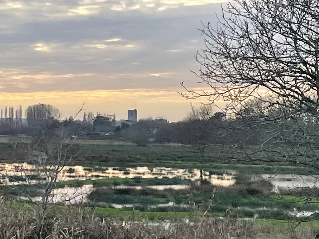 Birds Of Poole Harbour Events-普尔必去景点