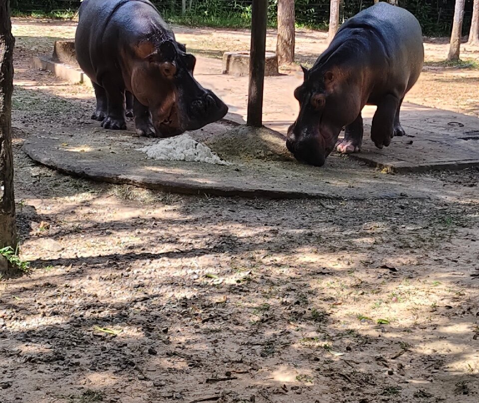 Amega Tour and general trading company limited-河内必去景点