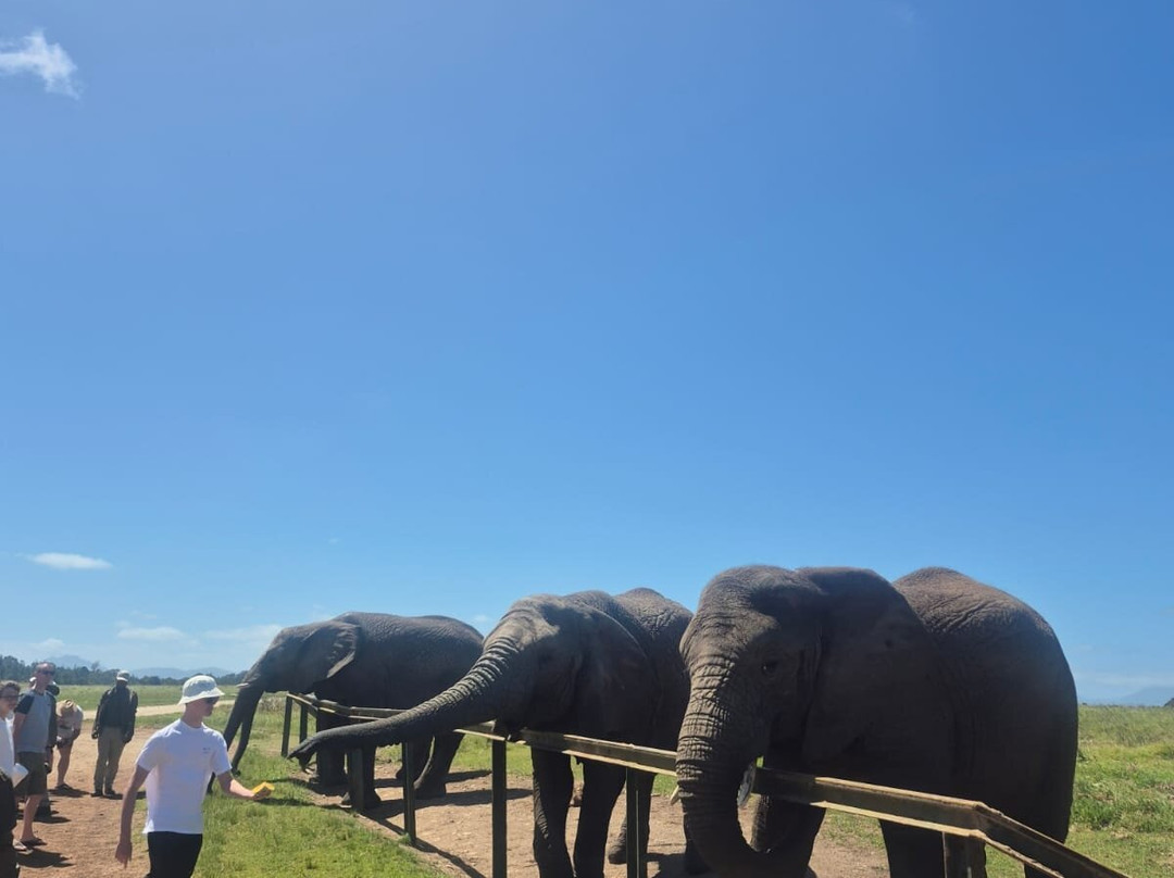 Islamic Travels and Tours-约翰内斯堡必去景点