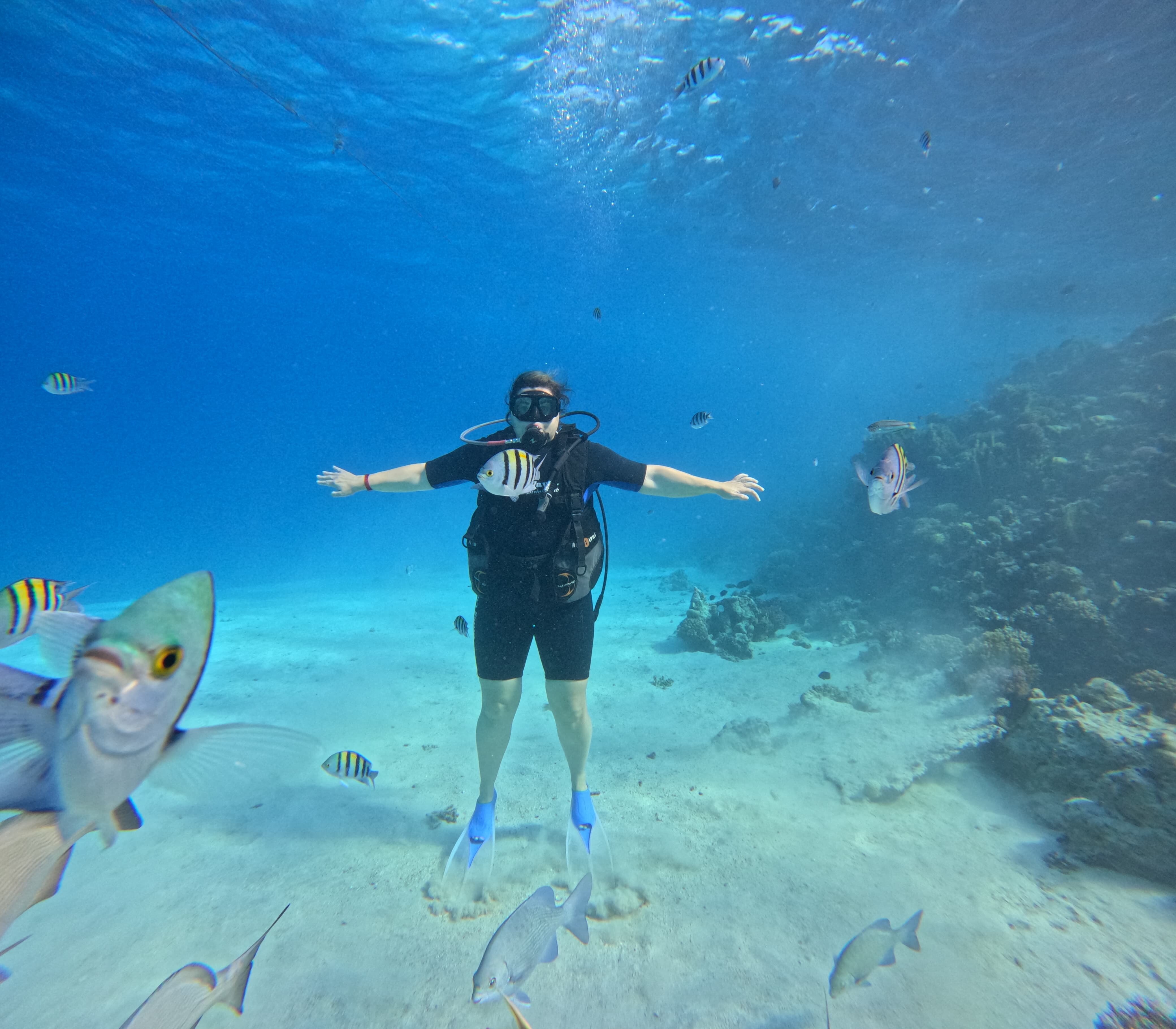 托皮特萨赫尔哈希什酒店-官方