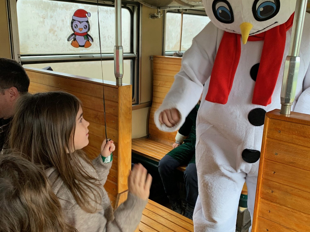 Chemin de Fer Vapeur de Trois Vallees (cfv3v) (Three Valleys Steam Train)-Mariembourg必去景点