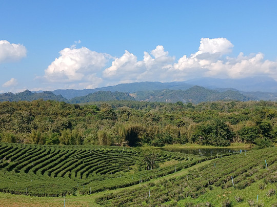 Coconut Tours-清莱必去景点