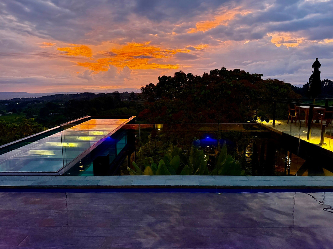 Bio Habitat Hotel主图