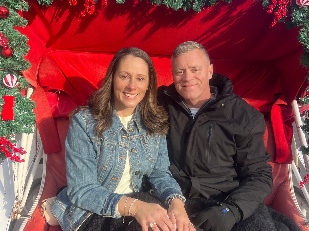 NYC horse carriage services-纽约市必去景点