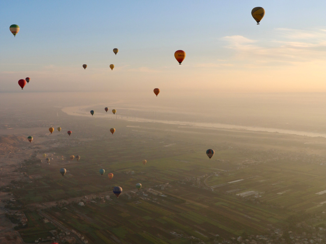 La Toupie Voyageuse-里昂必去景点