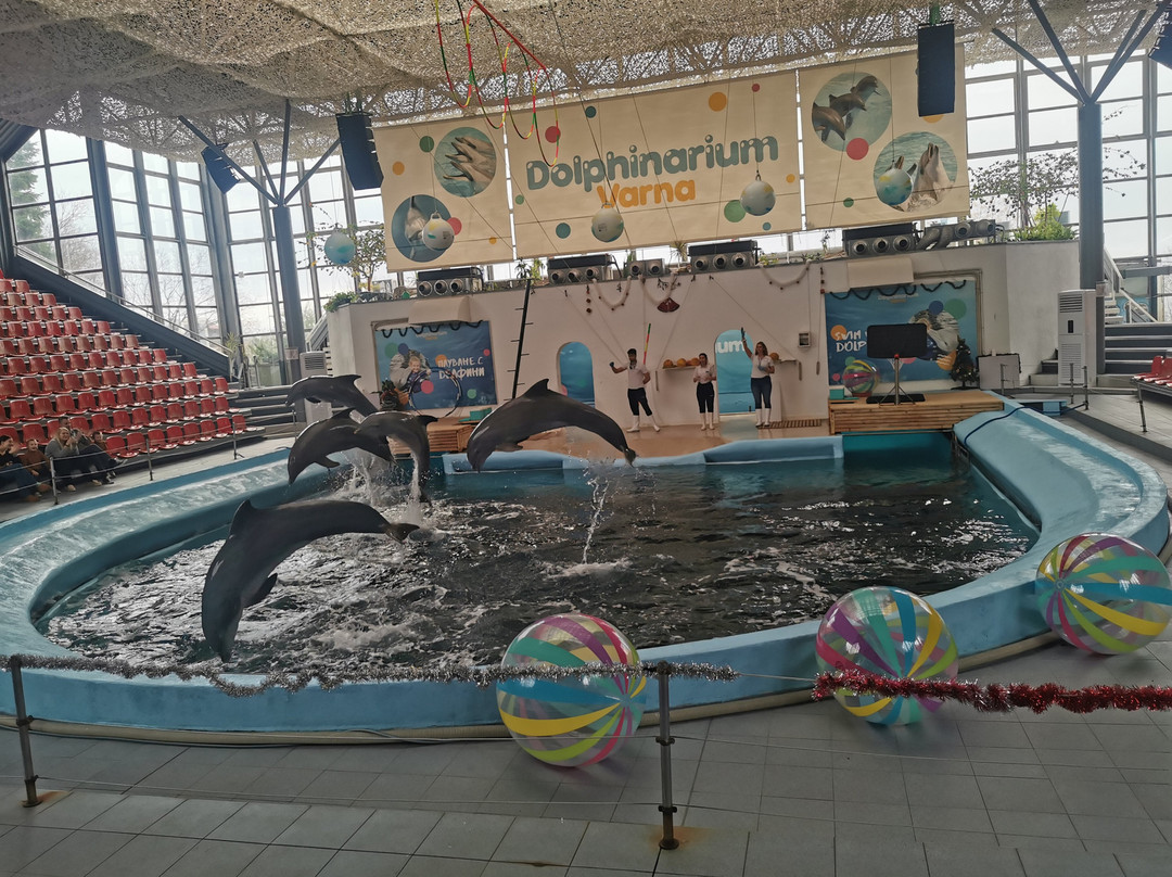 Dolphinarium-瓦尔纳必去景点
