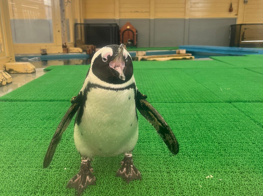 名古屋港水族馆-名古屋市必去景点