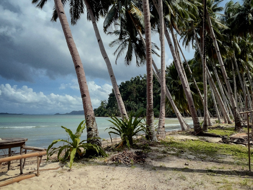 White Beach-巴顿港必去景点