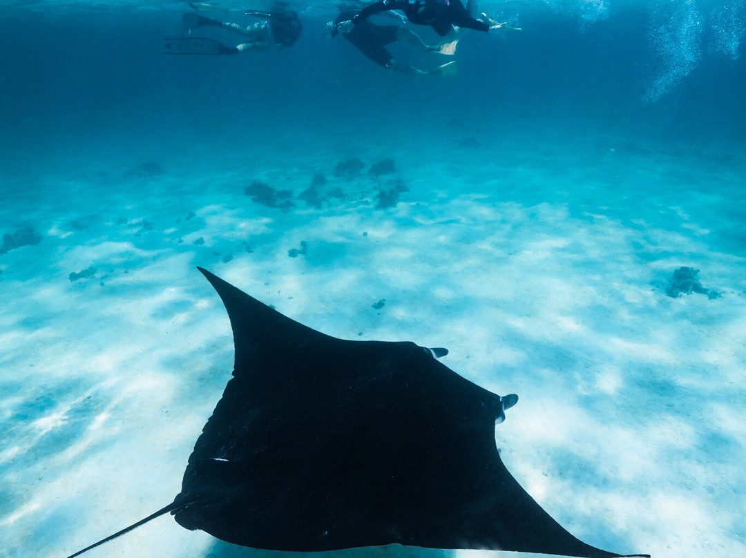 Ningaloo Coral Bay Boats-珊瑚湾必去景点