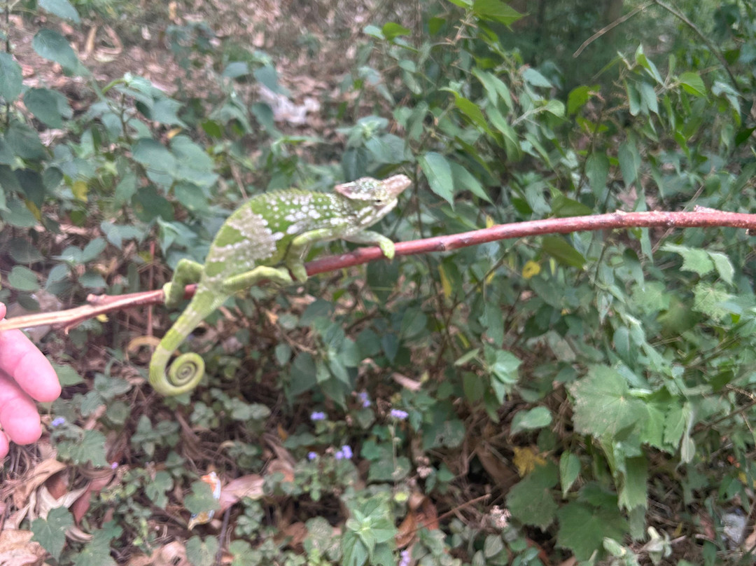 Usambara Eco Tours-卢绍托必去景点