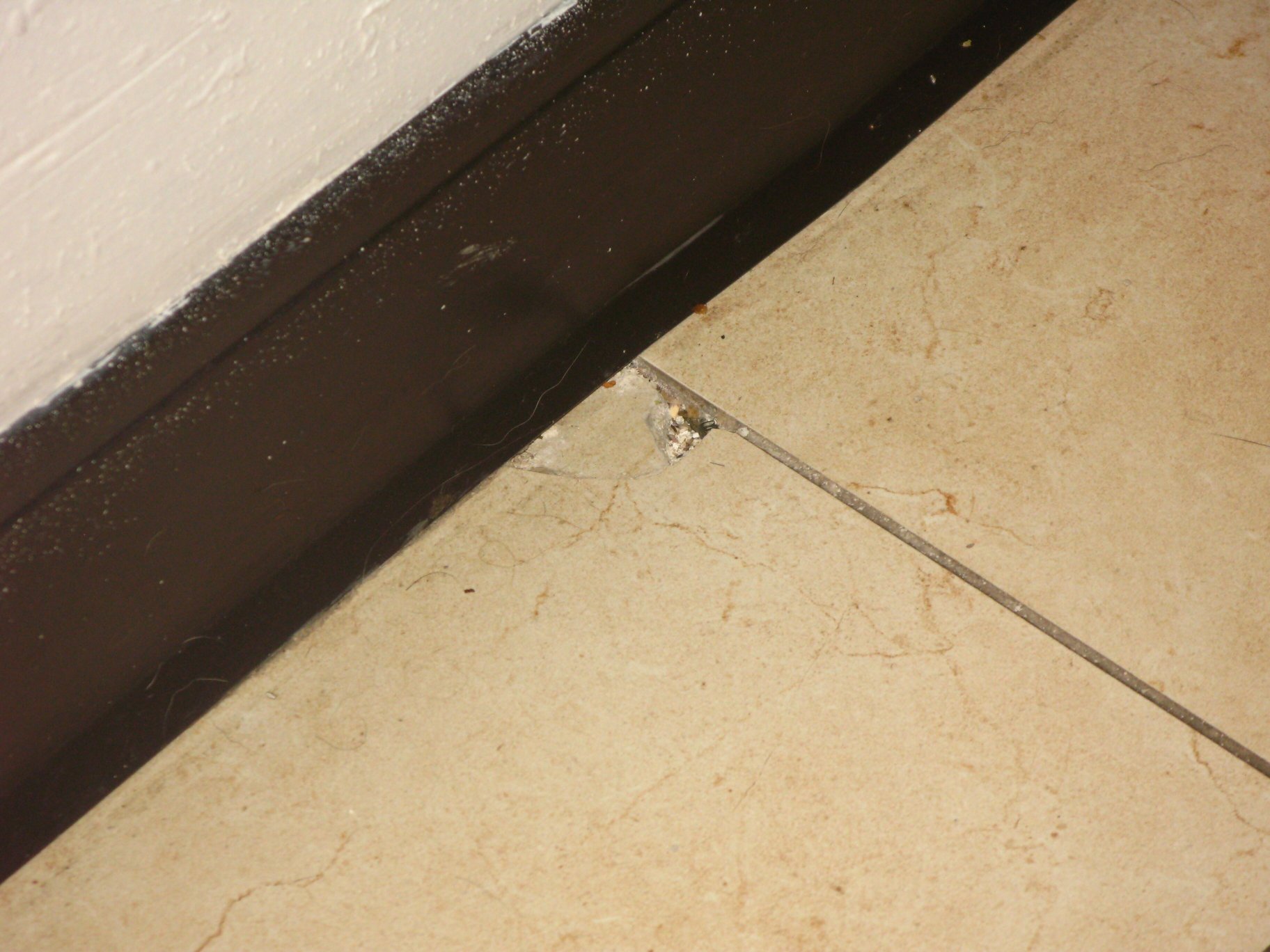 Red Roof PLUS+ & Suites Chattanooga - Downtown-客卧