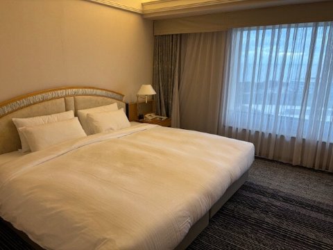 幕张新大谷酒店-官方