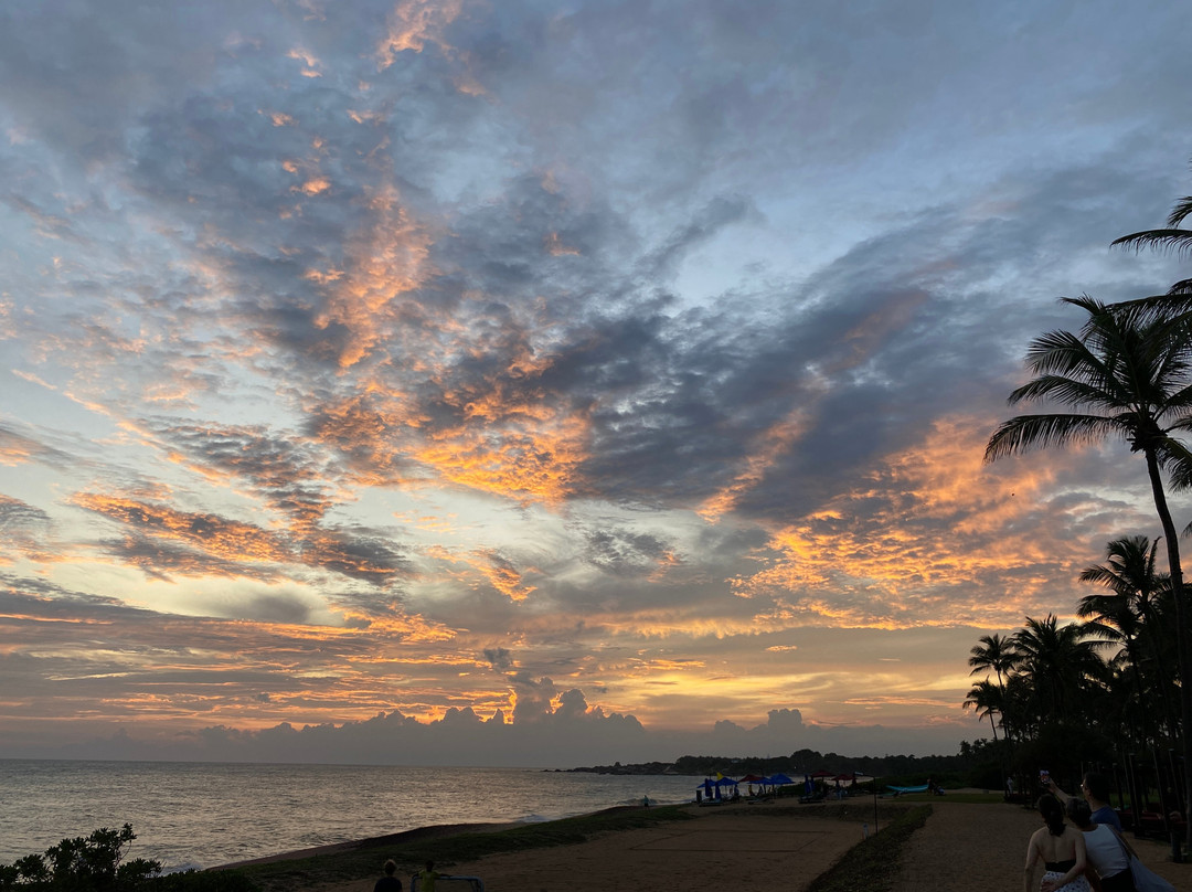 Sam Tours Hambantota-Hambantota必去景点