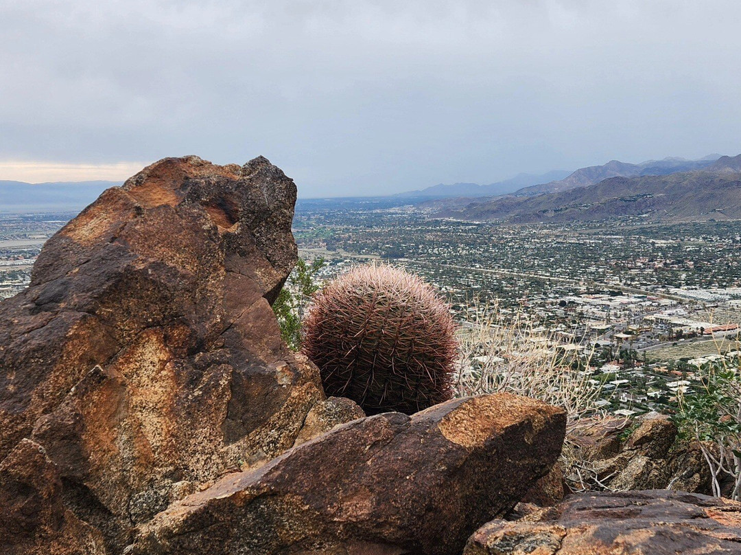 North Lykken Trail-棕榈泉市必去景点