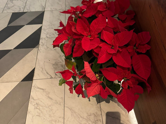 the Alloy King of Prussia - a DoubleTree by Hilton主图