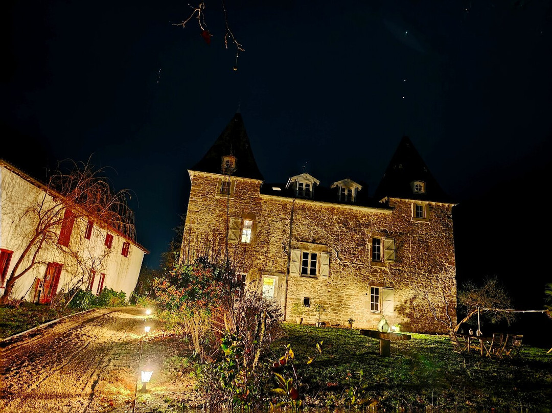 Chateau de Souhy