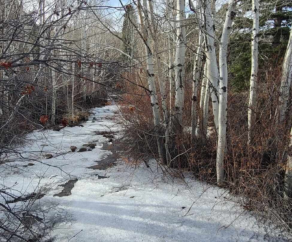 Great Basin National Park-Baker必去景点