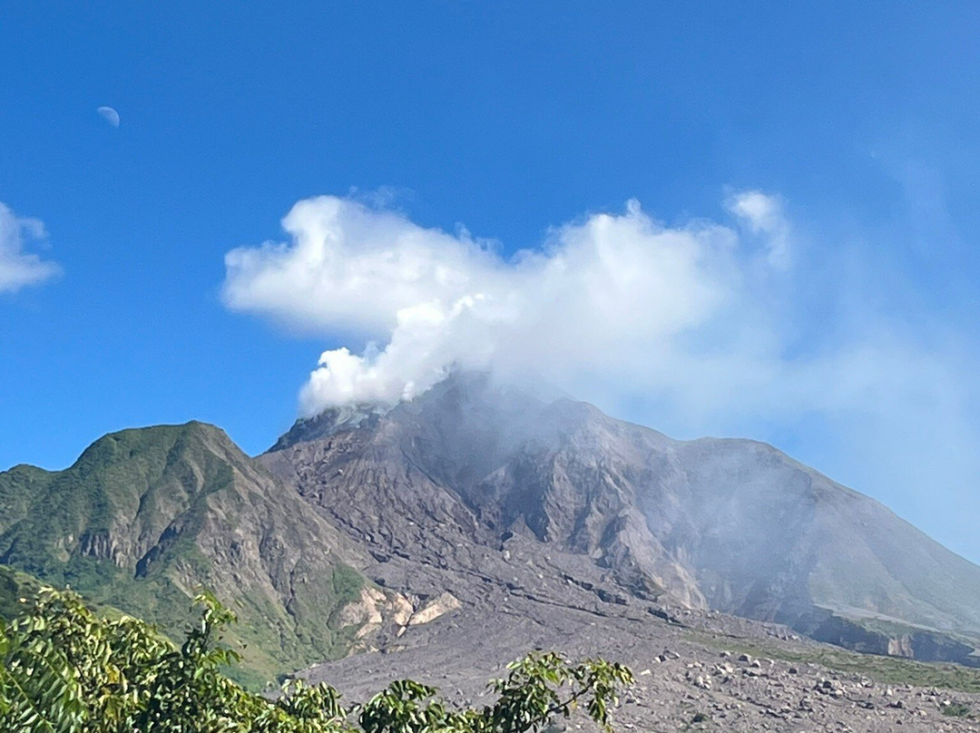 Tropical Mansion Suites主图