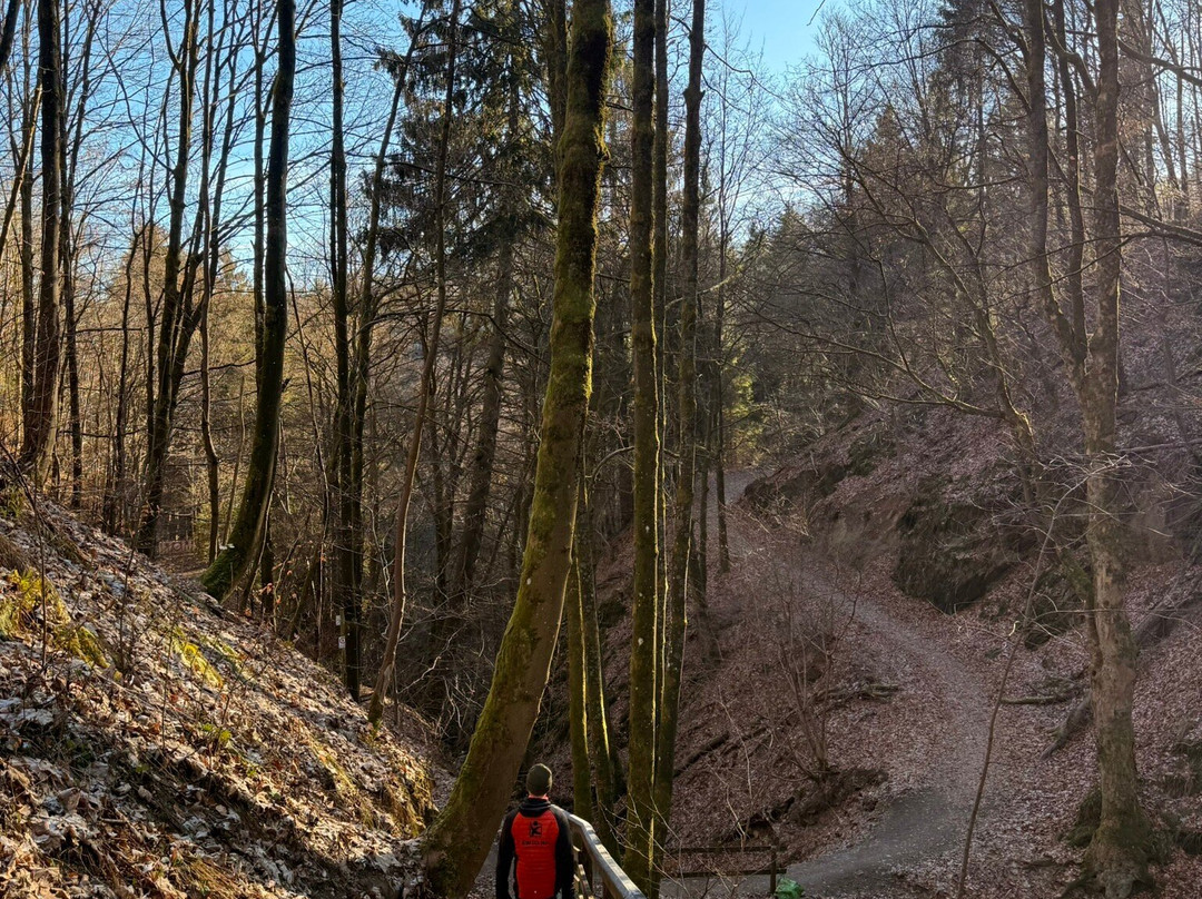 Hapimag Resort Winterberg主图