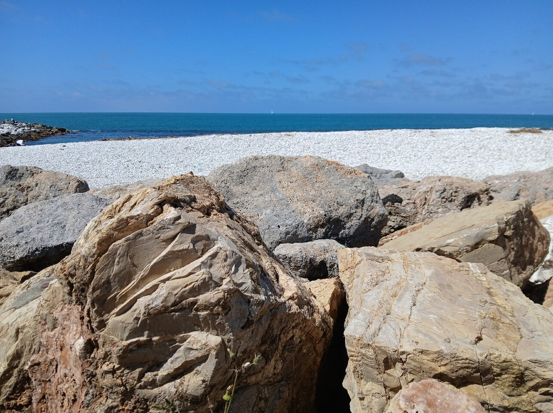Scogli Marina di Pisa-Marina di Pisa必去景点