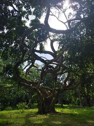 Ceylon Leisure Hub-Gampaha必去景点