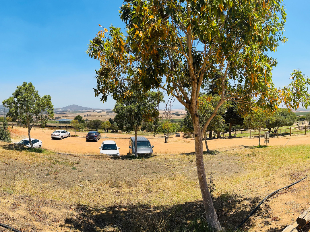 The Alpaca Loom Coffee Shop & Weaving Studio-Suider Paarl必去景点