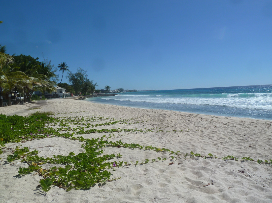Richard Haynes Boardwalk-Hastings必去景点