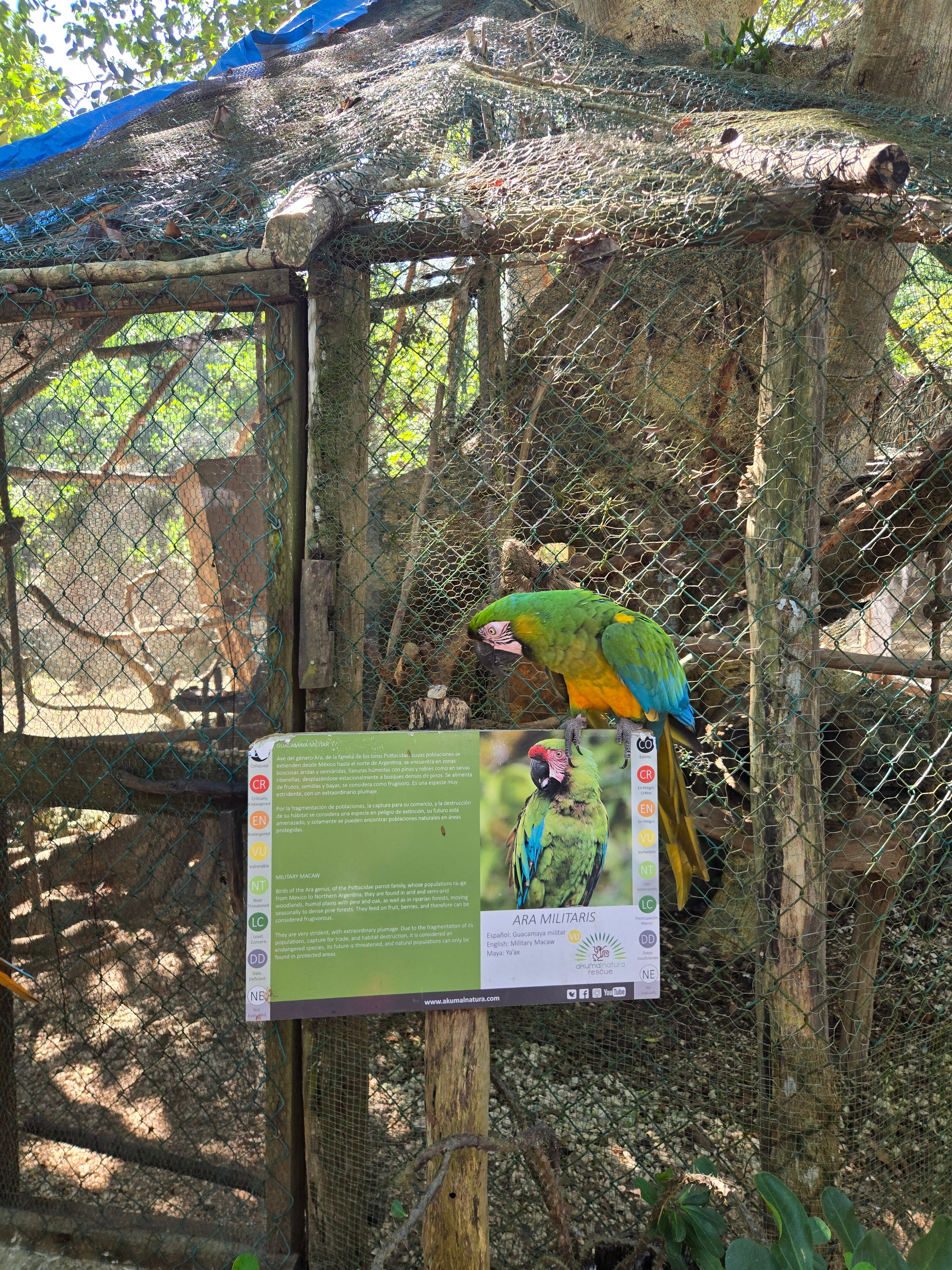 Akumal Natura Glamping-官方