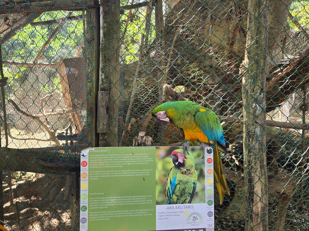 Akumal Natura Glamping主图