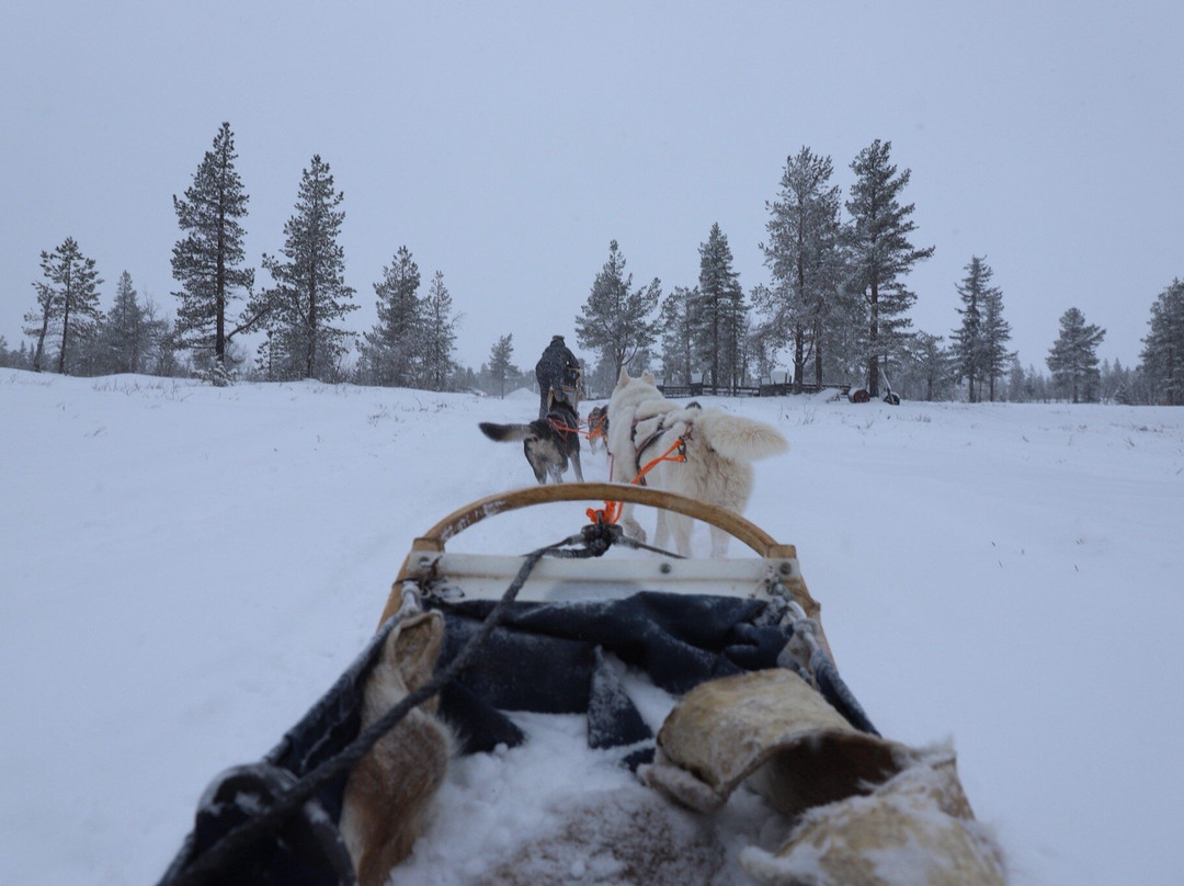 Fjallaventyr-Salen必去景点