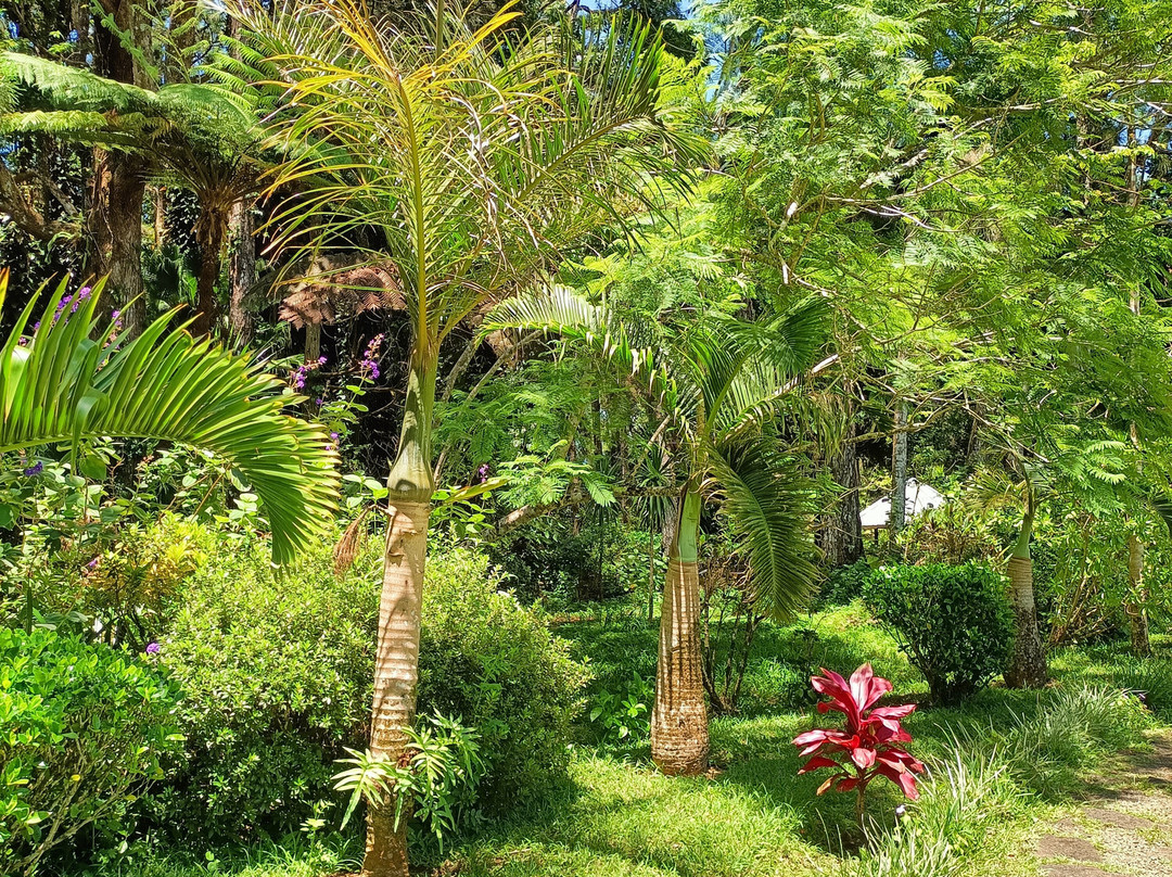 Sophie Nature Walk-Vacoas必去景点