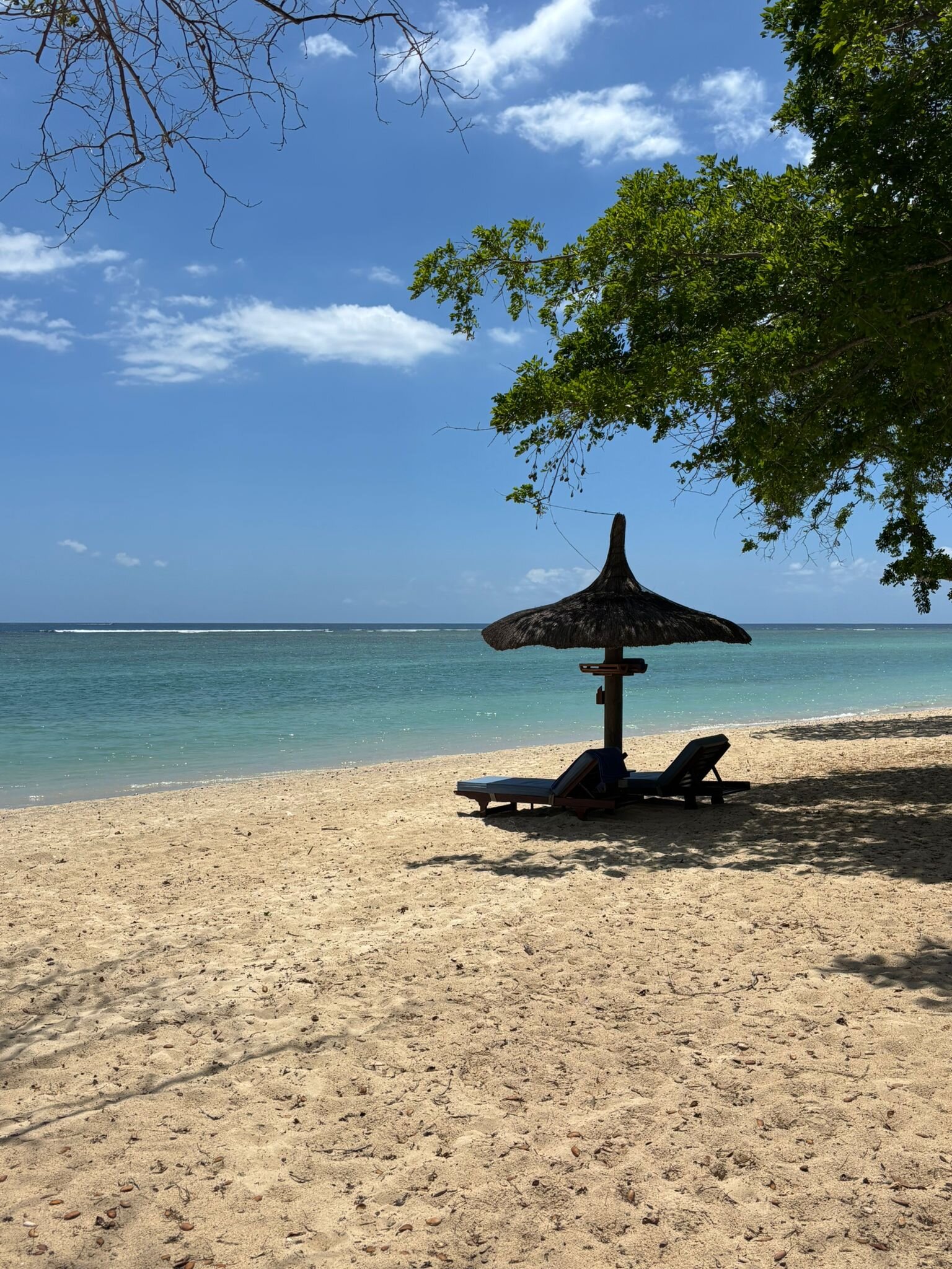 玛拉迪瓦度假村-泳池