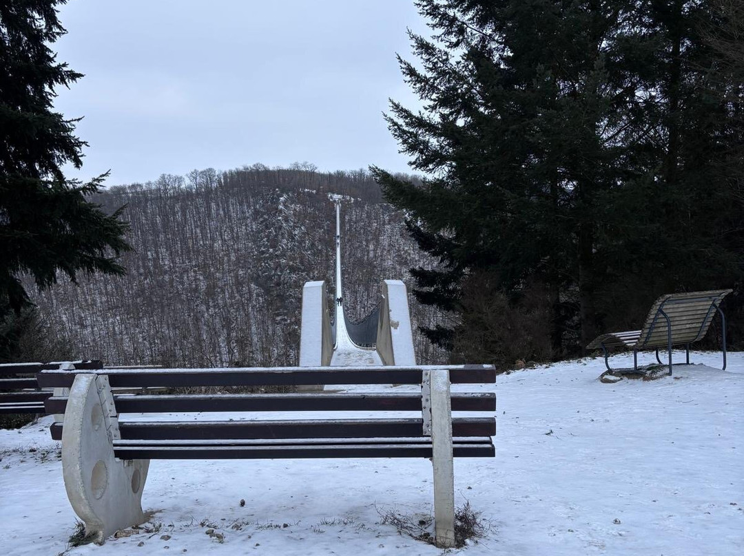 Geierlay Hängeseilbrücke-Moersdorf必去景点