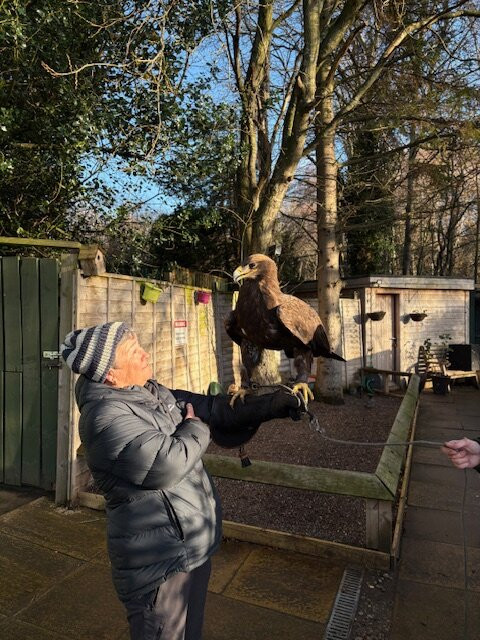 Dalhousie Castle Falconry-邦尼里格必去景点