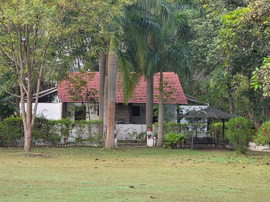 Vraksh by Aranyak Pench主图