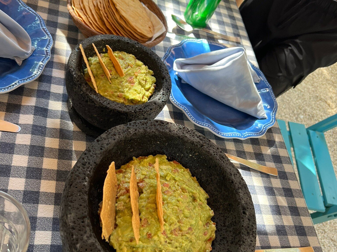 Experiencia Privada en Cenote Exclusivo-巴利亚多利德必去景点